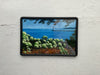 Magnet - Framed of an original oil painting by Bill Finewood