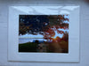 Matted Photograph by Jane Clewell (11x14)