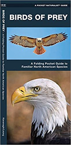 Birds of Prey: A Folding Pocket Guide to Familiar North American Species (Wildlife and Nature Identification)