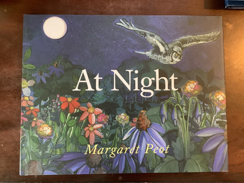 At Night
