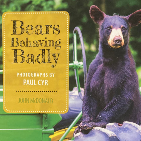 Bears Behaving Badly